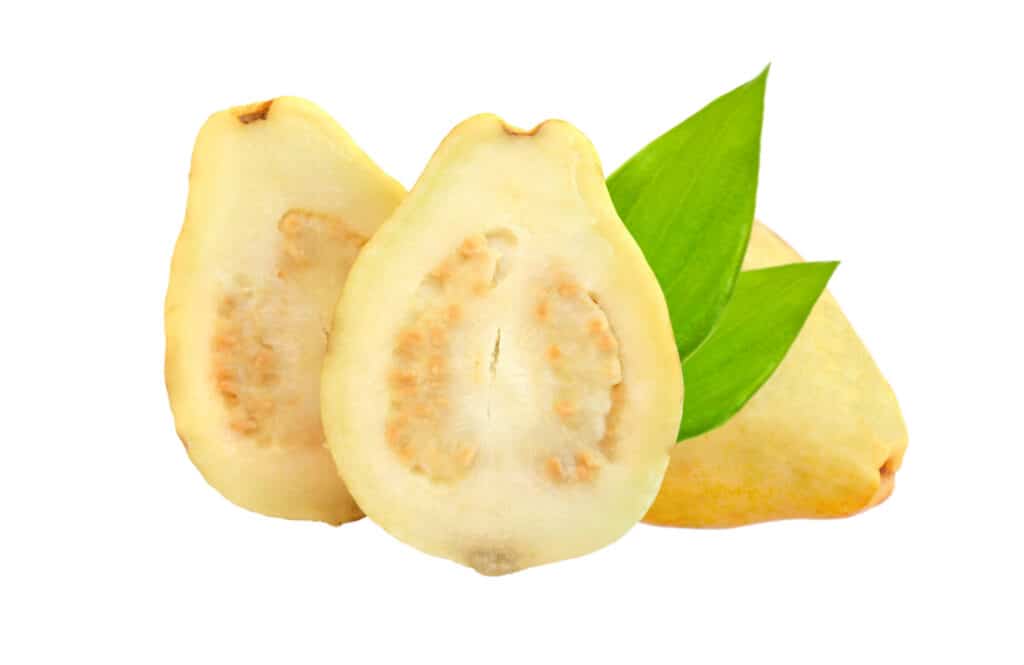 גויאבה